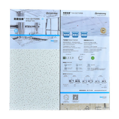 Pulverbeschichtung Mineralwolle Akustikdeckenplatten 600x600/600x1200mm für gewerbliche Zwecke